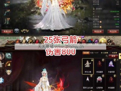 魔域6NF  专业精致服装