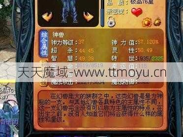 魔域异能带什么宝宝打职业,魔域宝宝攻略，职业必备指南