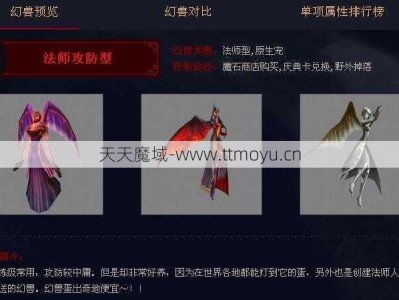 私服魔域特色：剧情、武术评论