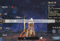 魔域新手入门攻略:魔域御剑士是什么职业,魔域的御剑士是哪个职业