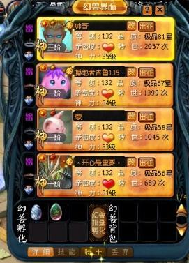 魔域法师最强宝宝搭配  第2张